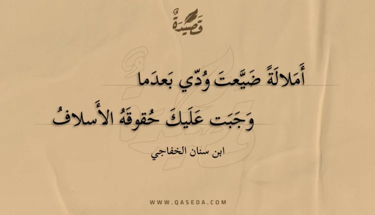 قصيدة أملالة ضيعت ودي بعدما