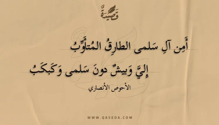 قصيدة أمن آل سلمى الطارق المتأوب