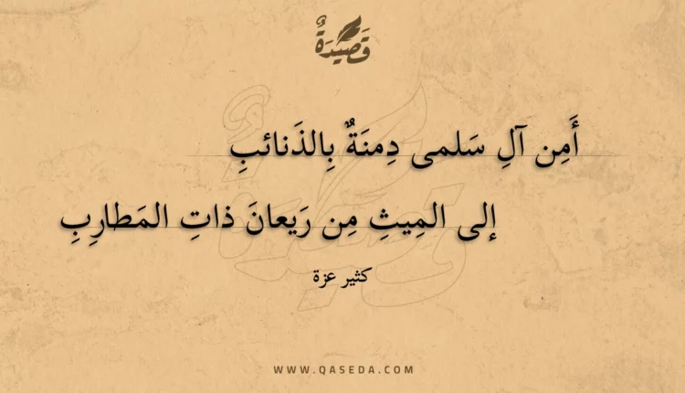 قصيدة أمن آل سلمى دمنة بالذنائب