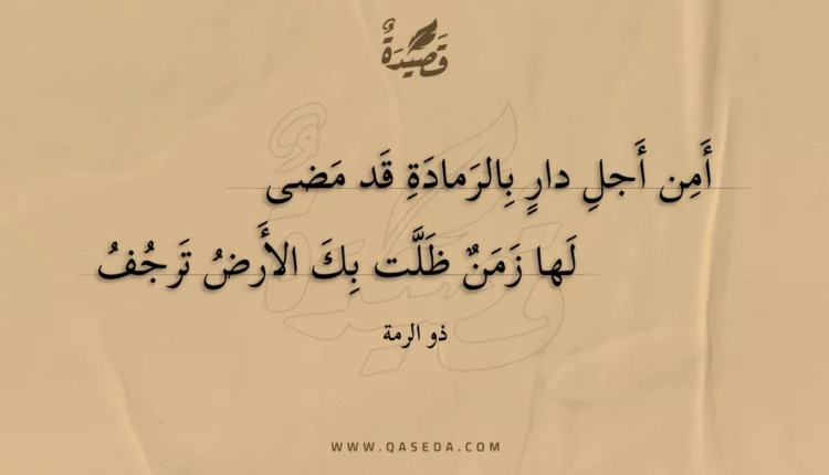 قصيدة أمن أجل دار بالرمادة قد مضى
