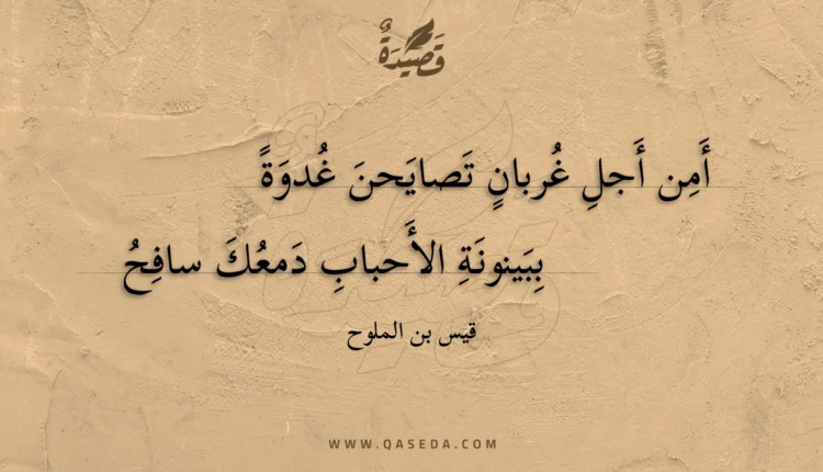 قصيدة أمن أجل غربان تصايحن غدوة