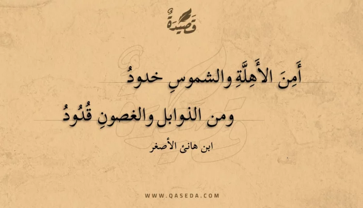 قصيدة أمن الأهلة والشموس خدود