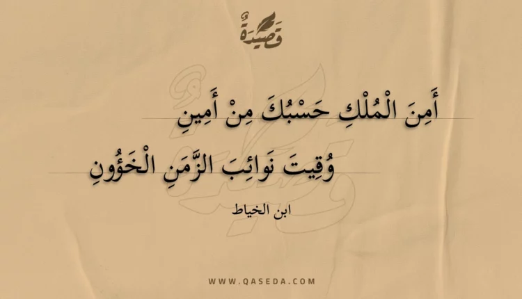 قصيدة أمن الملك حسبك من أمين