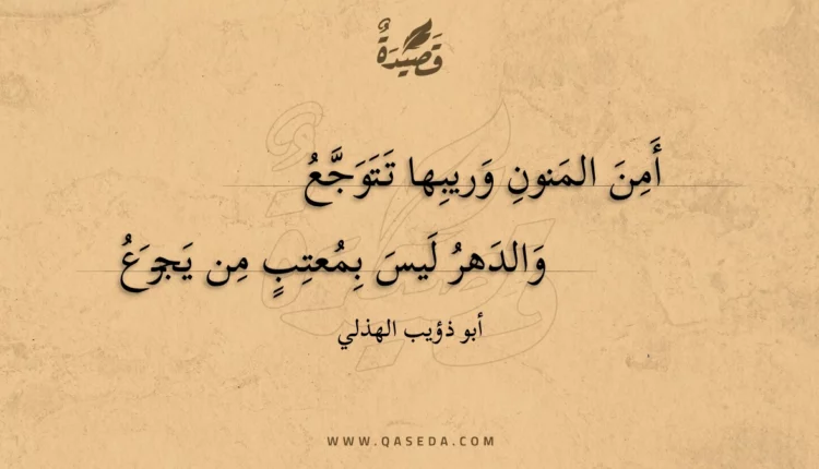 قصيدة أمن المنون وريبها تتوجع