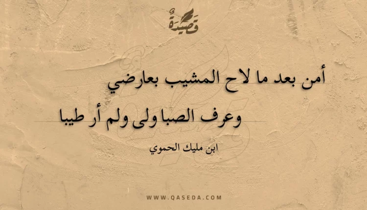 قصيدة أمن بعد ما لاح المشيب بعارضي