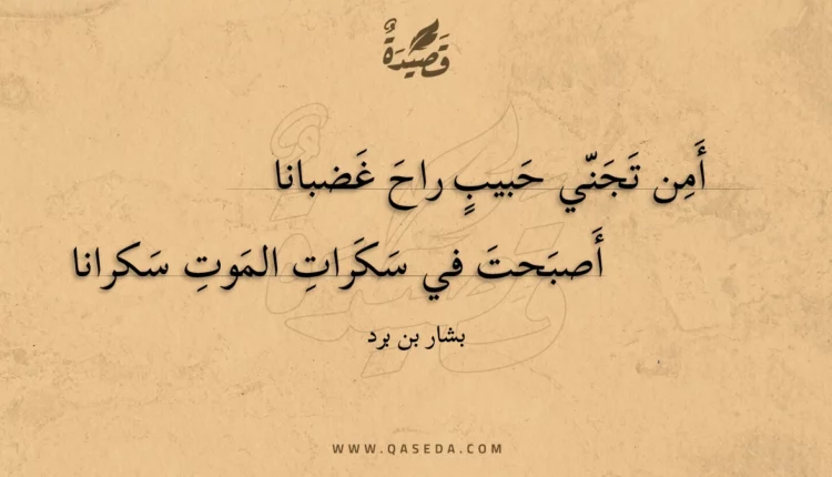 قصيدة أمن تجني حبيب راح غضبانا