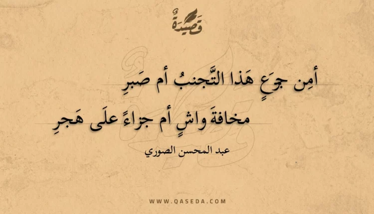 قصيدة أمن جزع هذا التجنب أم صبر