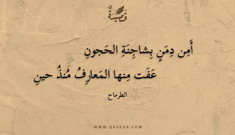 قصيدة أمن دمن بشاجنة الحجون