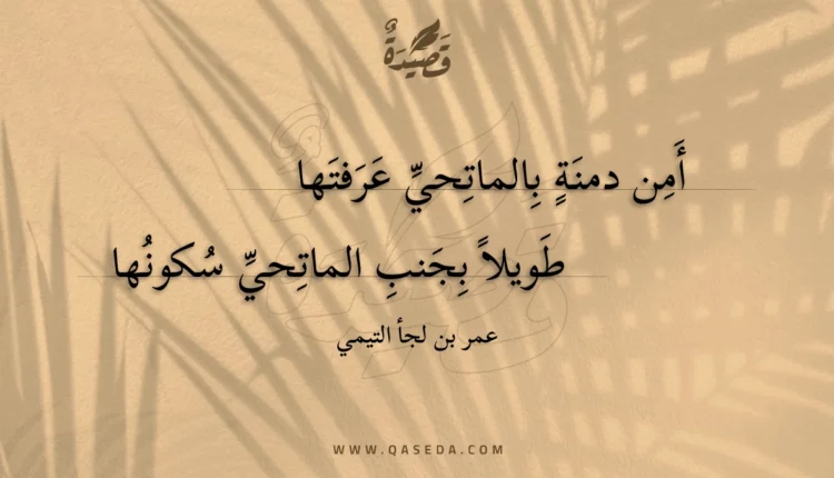 قصيدة أمن دمنة بالماتحي عرفتها