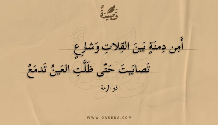 قصيدة أمن دمنة بين القلات وشارع