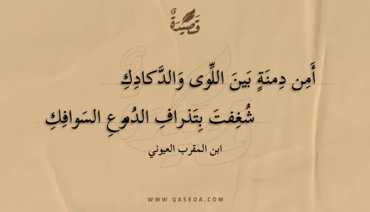 قصيدة أمن دمنة بين اللوى والدكادك