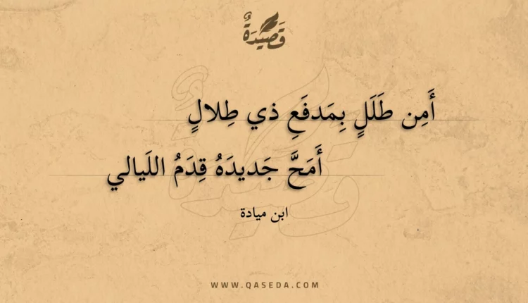 قصيدة أمن طلل بمدفع ذي طلال