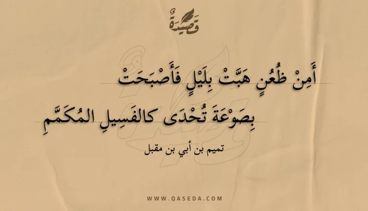 قصيدة أمن ظعن هبت بليل فأصبحت