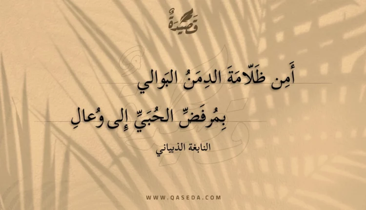 قصيدة أمن ظلامة الدمن البوالي