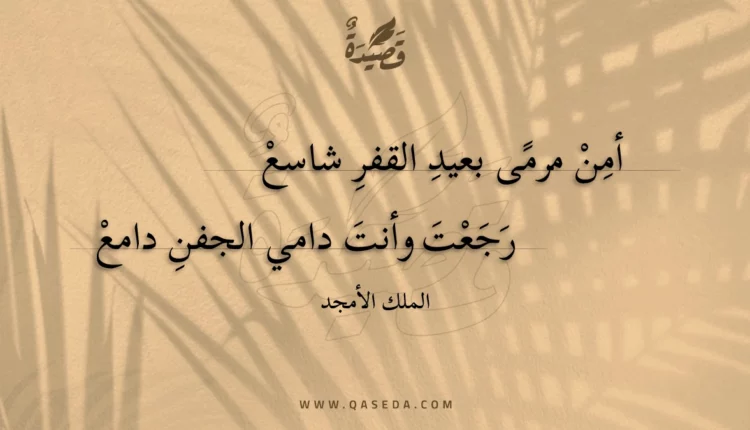 قصيدة أمن مرمى بعيد القفر شاسع
