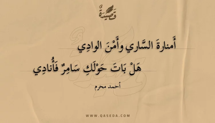 قصيدة أمنارة الساري وأمن الوادي