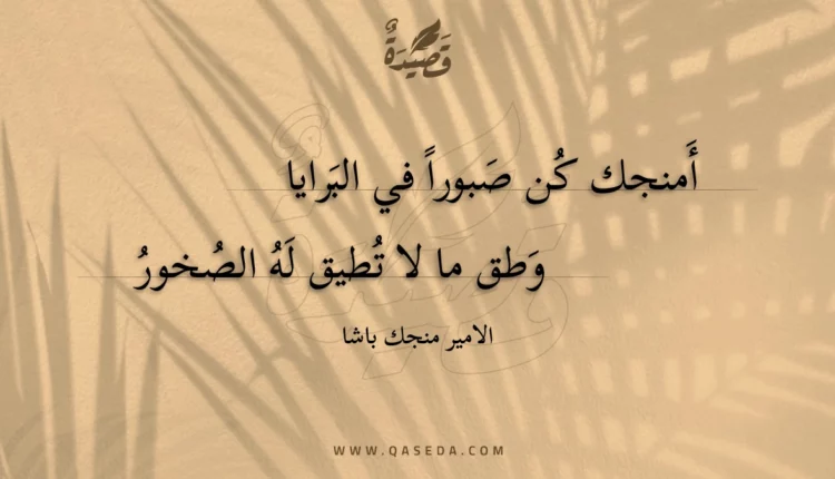 قصيدة أمنجك كن صبورا في البرايا