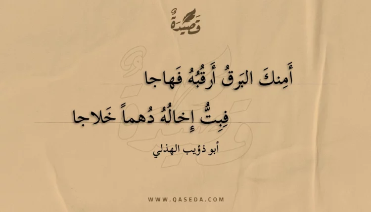 قصيدة أمنك البرق أرقبه فهاجا