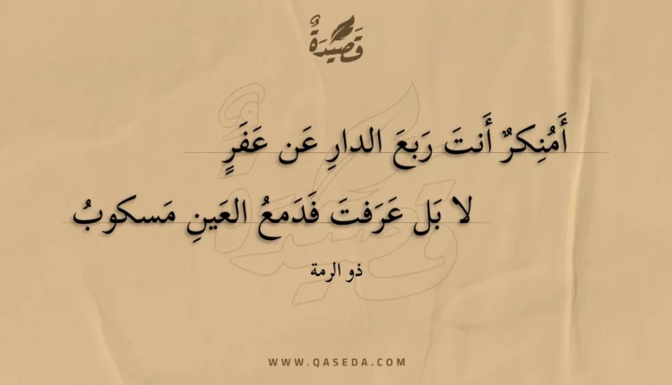قصيدة أمنكر أنت ربع الدار عن عفر