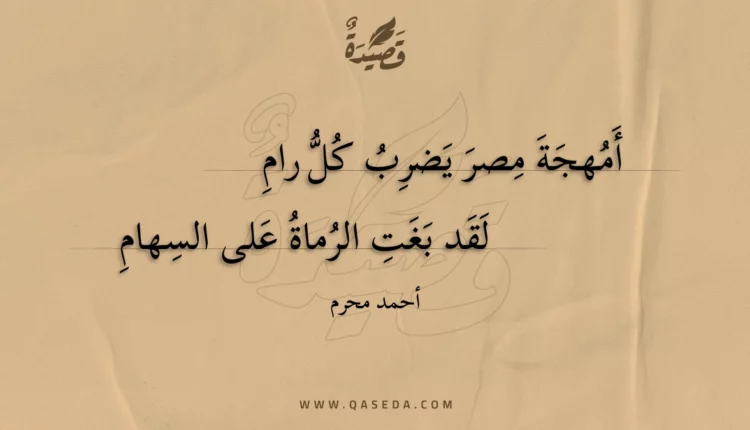 قصيدة أمهجة مصر يضرب كل رام