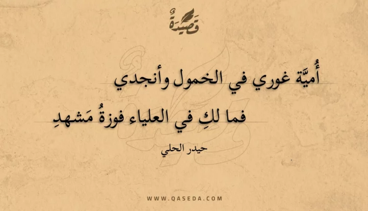 قصيدة أمية غوري في الخمول وأنجدي