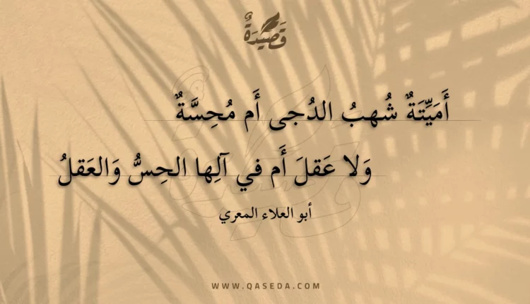 قصيدة أميتة شهب الدجى أم محسة