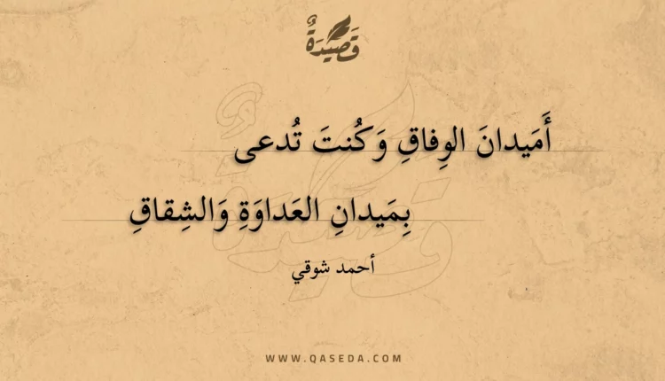 قصيدة أميدان الوفاق وكنت تدعى