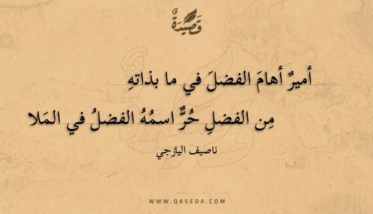 قصيدة أمير أهام الفضل في ما بذاته