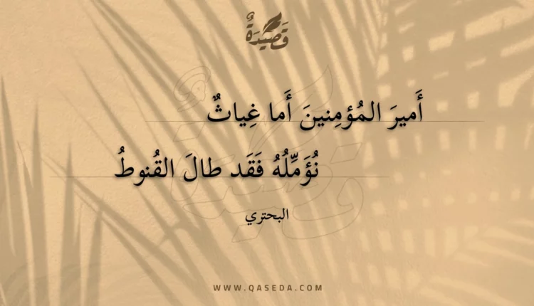 قصيدة أمير المؤمنين أما غياث