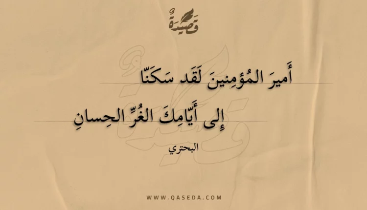 قصيدة أمير المؤمنين لقد سكنا