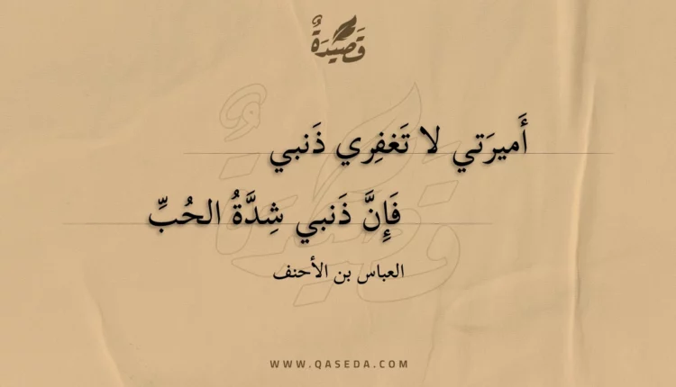 قصيدة أميرتي لا تغفري ذنبي