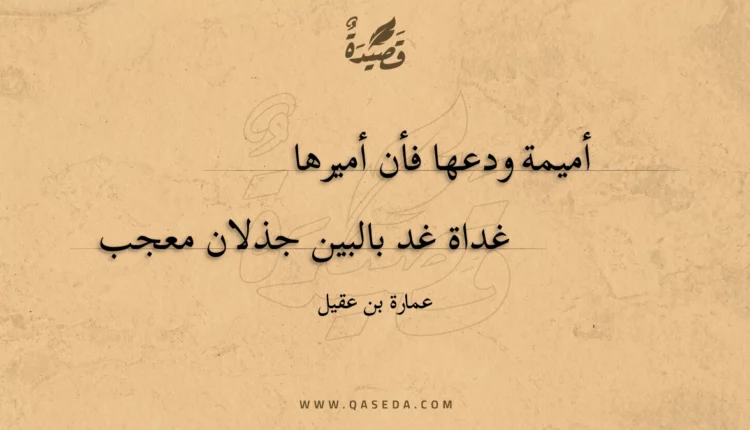 قصيدة أميمة ودعها فأن أميرها