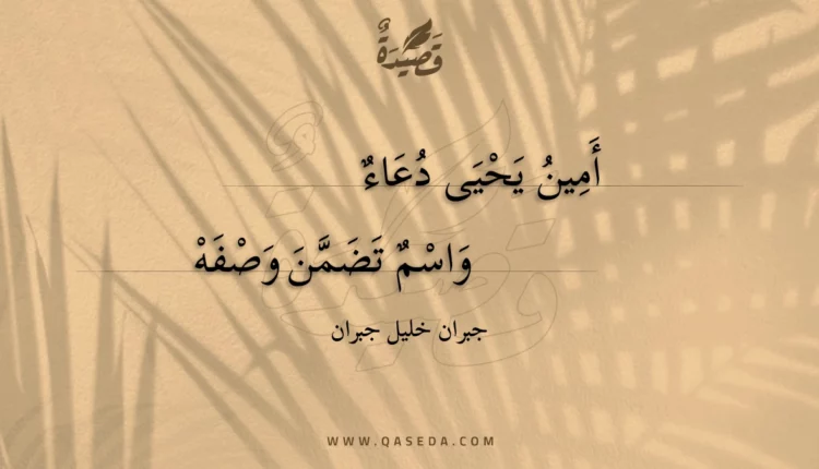 قصيدة أمين يحيى دعاء