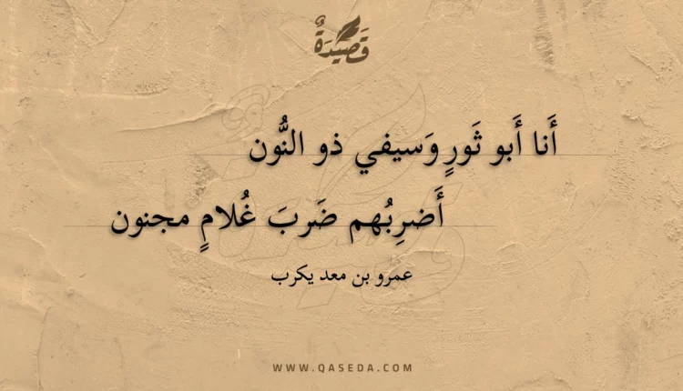 قصيدة أنا أبو ثور وسيفي ذو النون