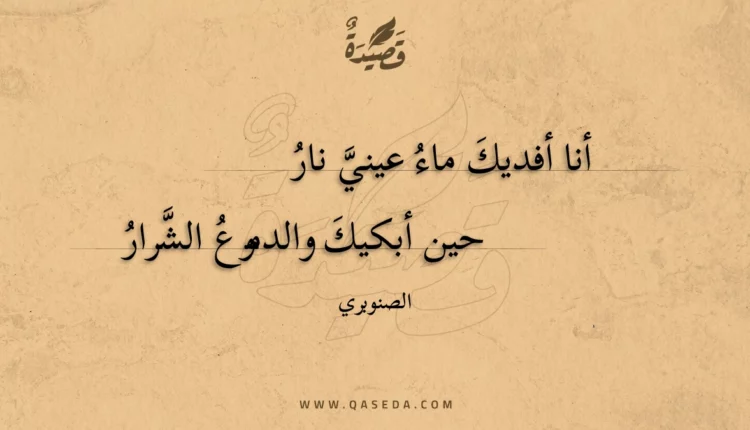 قصيدة أنا أفديك ماء عيني نار