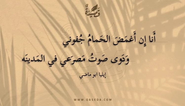 قصيدة أنا إن أغمض الحمام جفوني