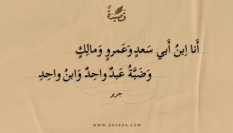 قصيدة أنا ابن أبي سعد وعمرو ومالك
