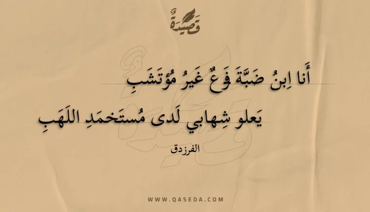 قصيدة أنا ابن ضبة فرع غير مؤتشب