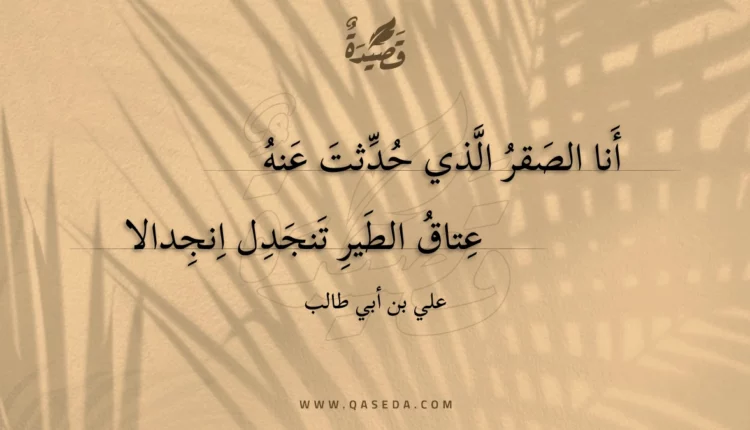 قصيدة أنا الصقر الذي حدثت عنه