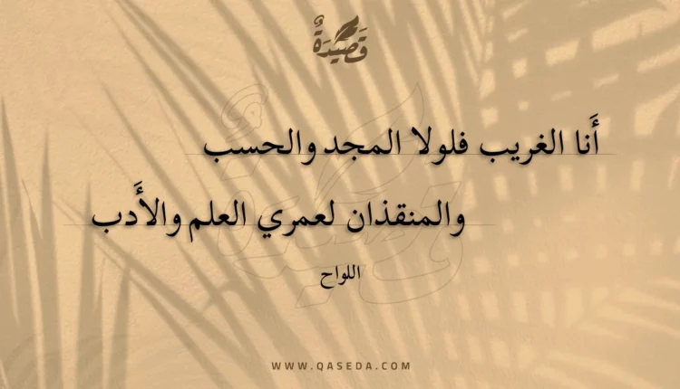 قصيدة أنا الغريب فلولا المجد والحسب