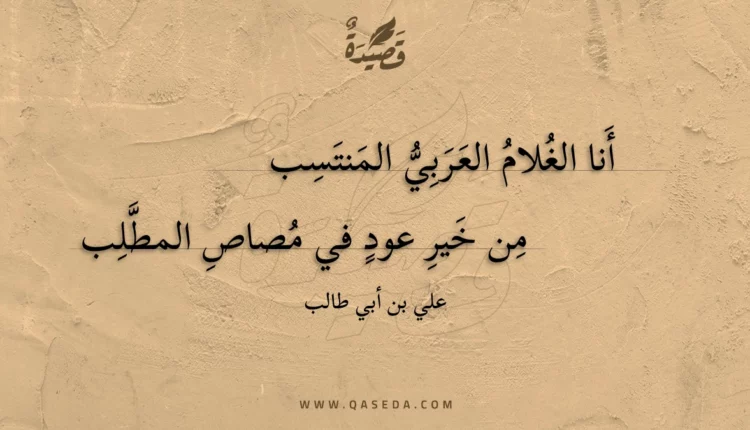 قصيدة أنا الغلام العربي المنتسب