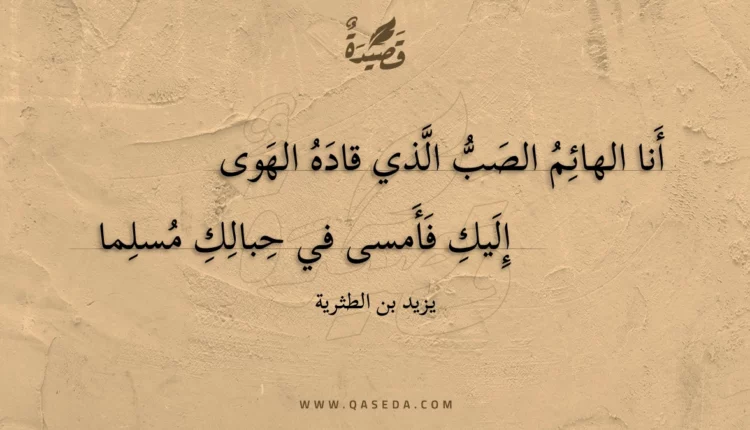 قصيدة أنا الهائم الصب الذي قاده الهوى