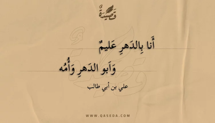 قصيدة أنا بالدهر عليم