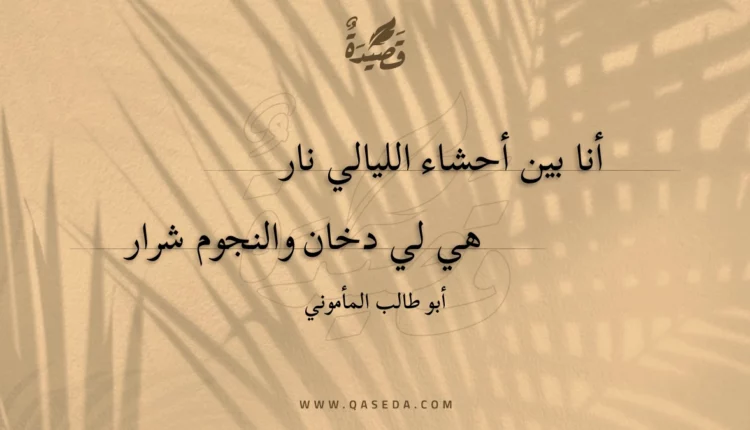 قصيدة أنا بين أحشاء الليالي نار