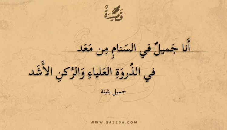 قصيدة أنا جميل في السنام من معد