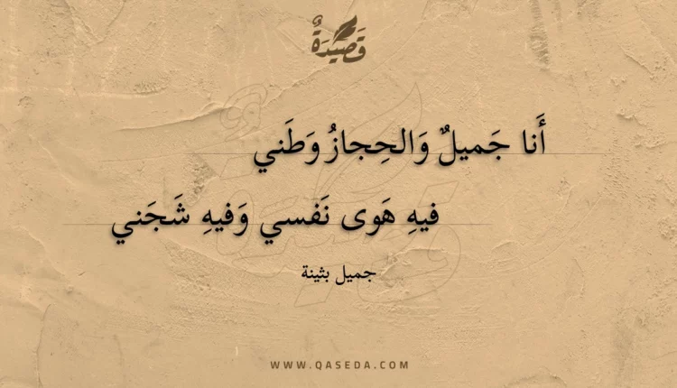 قصيدة أنا جميل والحجاز وطني