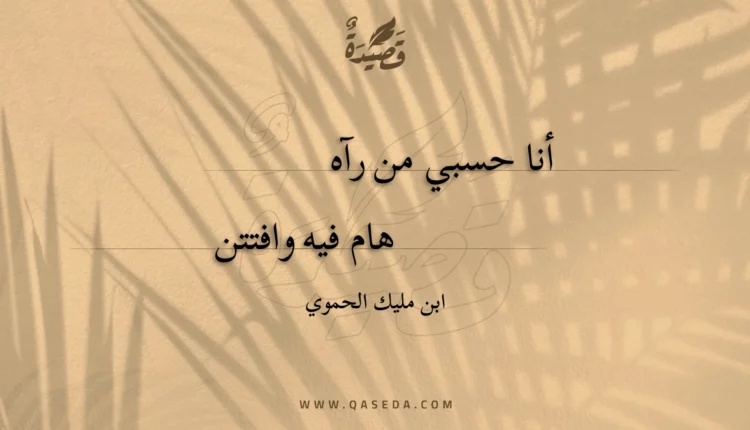 قصيدة أنا حسبي من رآه