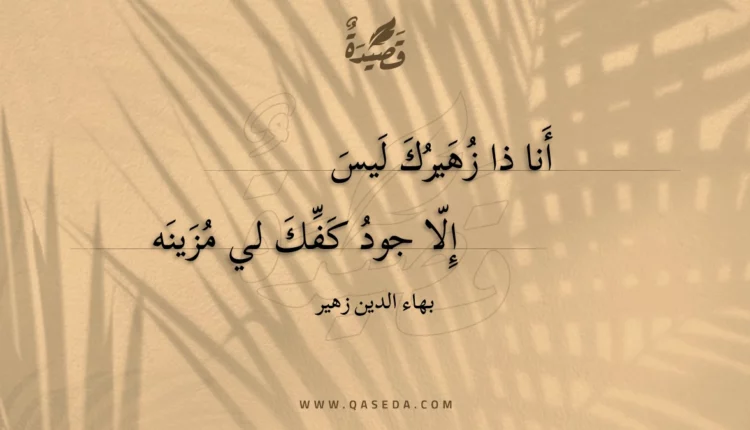 قصيدة أنا ذا زهيرك ليس