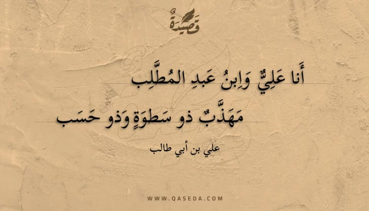 قصيدة أنا علي وابن عبد المطلب