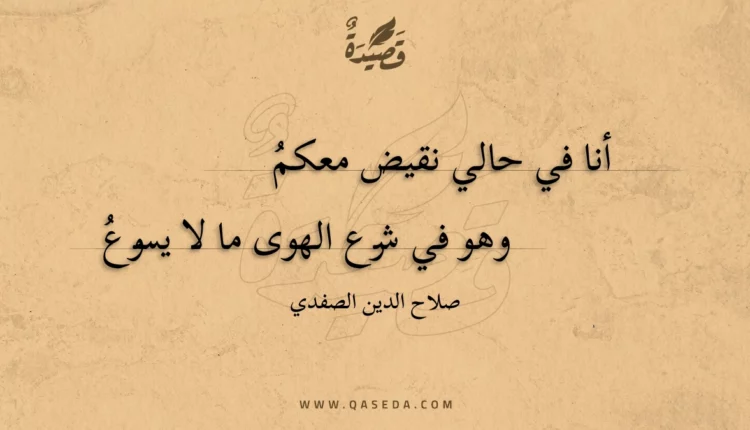 قصيدة أنا في حالي نقيض معكم